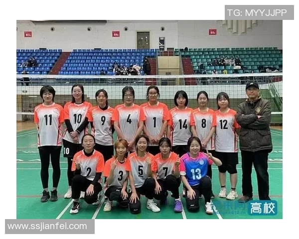 杭州排球队在全国排球团队协作排行榜中荣获第六名的佳绩分析