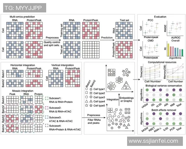 杭州网球队在冠军赛中的战术意识与团队配合表现分析
