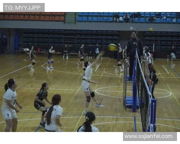 武汉排球队战术创新引领排球新潮流成就辉煌排名