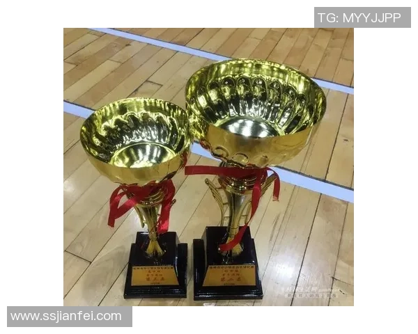 西安羽毛球队在大满贯赛事中的比赛经验与表现分析 西安羽毛球队在大满贯赛事中的比赛经验与表现分析