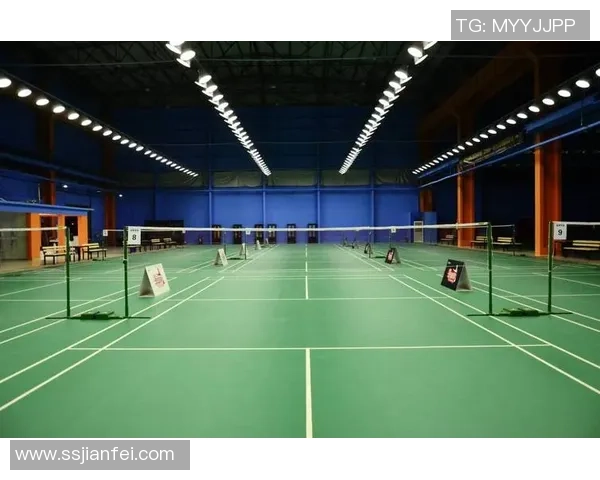 赛后分析:北京羽毛球队与杭州羽毛球队的战术意识与团队配合探讨 赛后分析:北京羽毛球队与杭州羽毛球队的战术意识与团队配合探讨