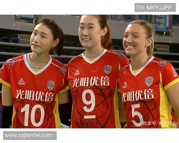 排球实力排行榜：深圳排球队位居第4名